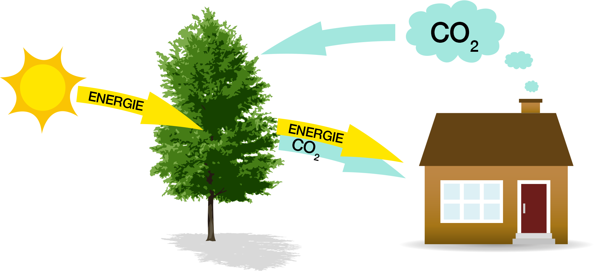 Heizen mit Holz - Kreislauf